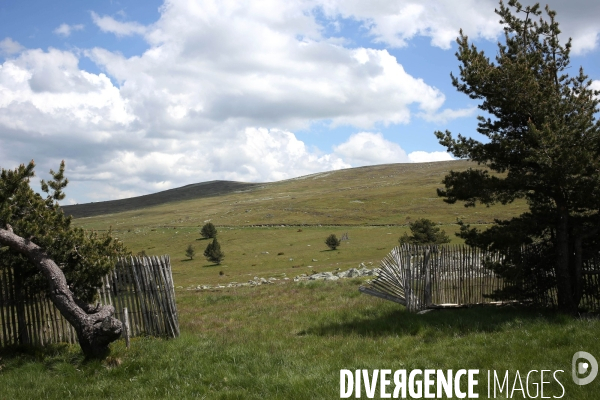 Parc National des Cévennes