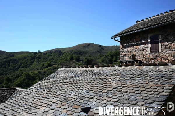 Parc National des Cévennes