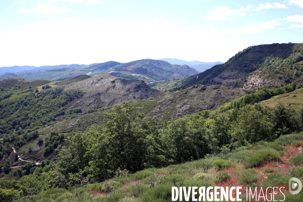 Parc National des Cévennes