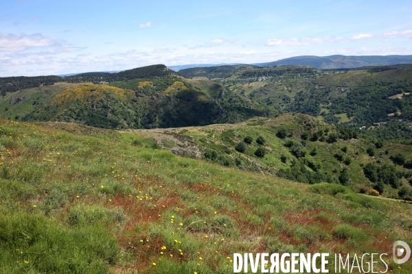 Parc National des Cévennes