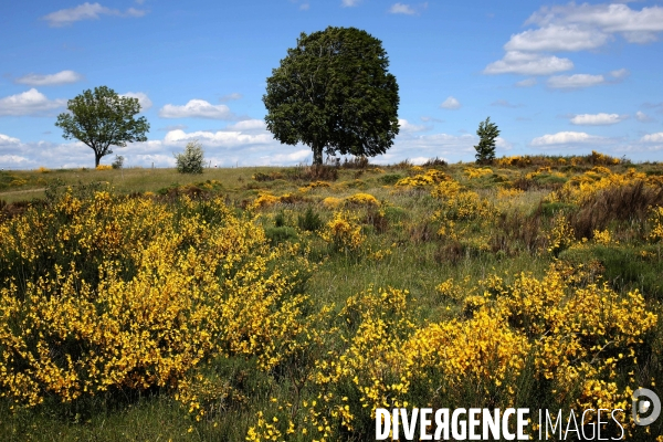 Parc National des Cévennes