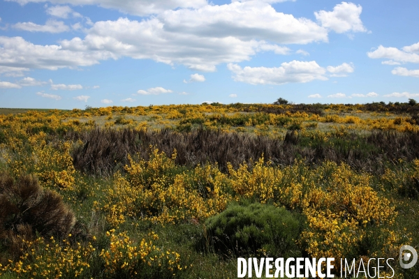 Parc National des Cévennes