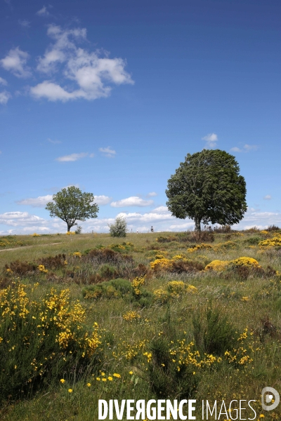 Parc National des Cévennes