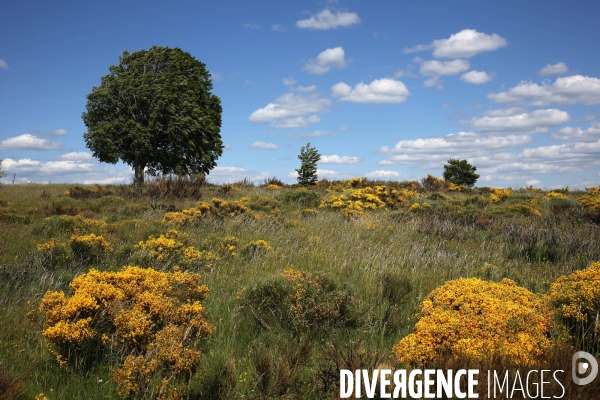 Parc National des Cévennes