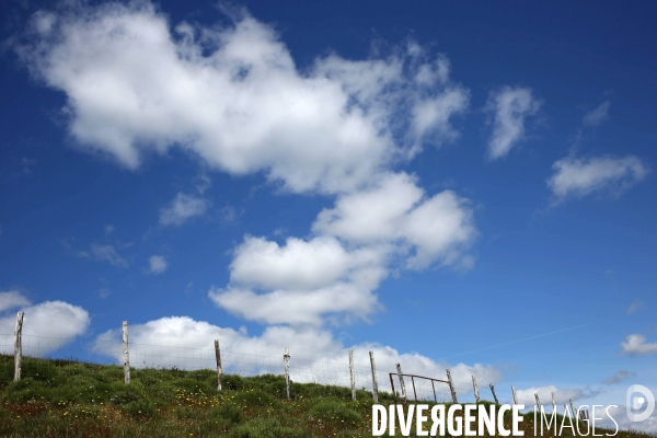 Parc National des Cévennes
