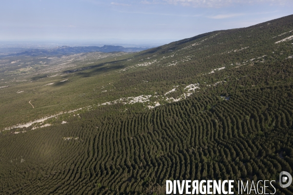 Vue aerienne du Mont Ventoux
