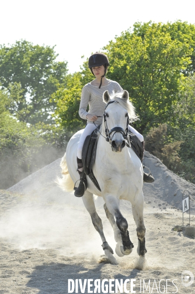 L enfant et les animaux : jeune cavalier à cheval. Children and animals: young horse rider.