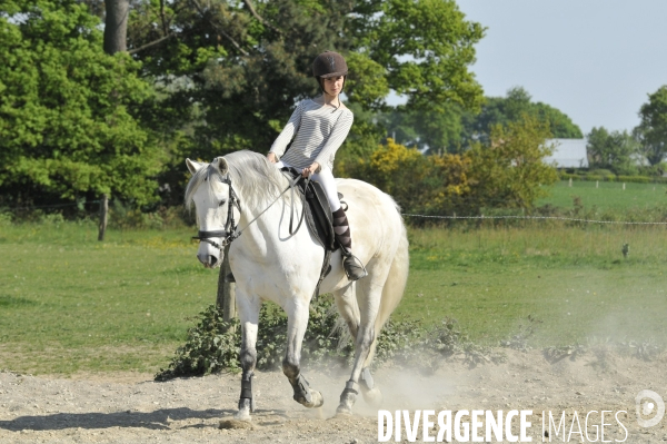 L enfant et les animaux : jeune cavalier à cheval. Children and animals: young horse rider.