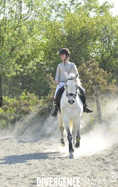 L enfant et les animaux : jeune cavalier à cheval. Children and animals: young horse rider.