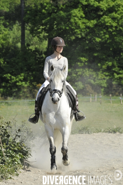 L enfant et les animaux : jeune cavalier à cheval. Children and animals: young horse rider.