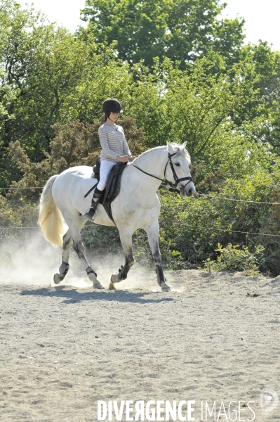 L enfant et les animaux : jeune cavalier à cheval. Children and animals: young horse rider.
