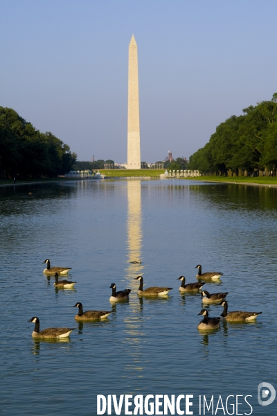 Washington d.c/usa
