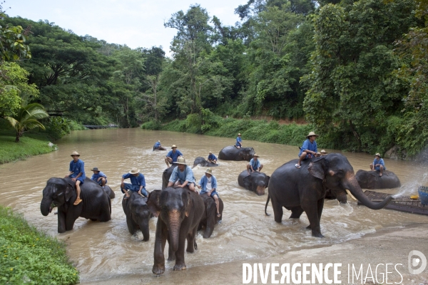 Chiang mai/thailande