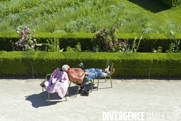 Archives Juin 2015.Sieste et bronzage au jardin des Tuileries
