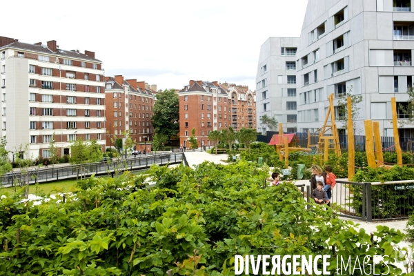 Archives Juin 2015.Le jardin Charles Trenet, realise sur les anciennes friches de la gare de Rungis amenage dans le premier ecoquartier de Paris