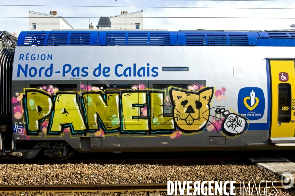 Archives Juin 2015.Un Ter graffite en gare de Calais