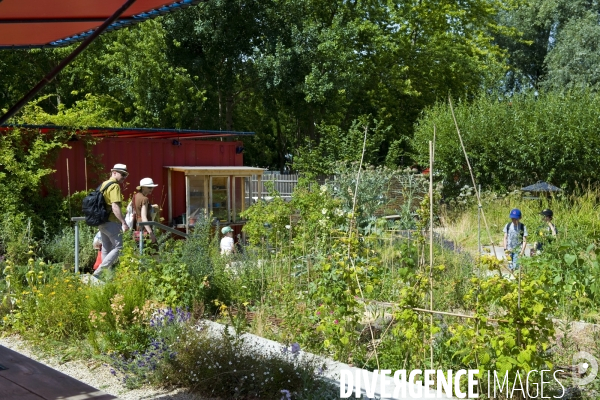 Archives Juin 2015.Le jardin ecologique et pedagogique du parc de la Villette