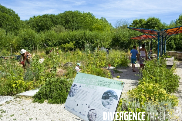 Archives Juin 2015.Le jardin ecologique et pedagogique du parc de la Villette