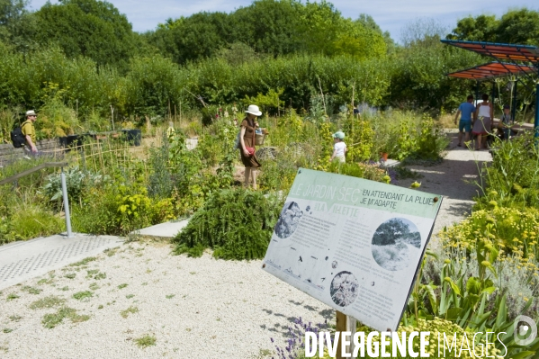 Archives Juin 2015.Le jardin ecologique et pedagogique du parc de la Villette