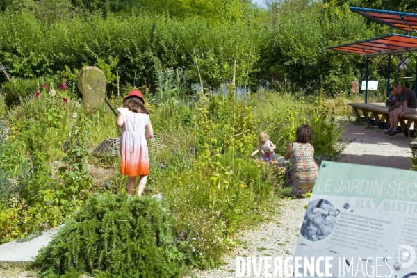 Archives Juin 2015.Le jardin ecologique et pedagogique du parc de la Villette