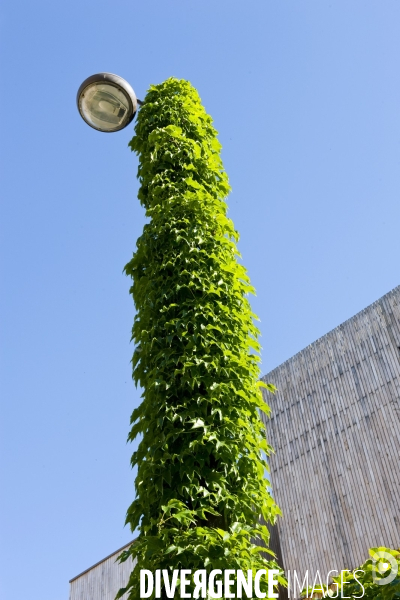 Illustration Juin2015.Pylone electrique vegetalise