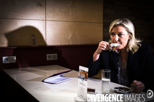 Marine le Pen, candidate aux elections regionales 2015