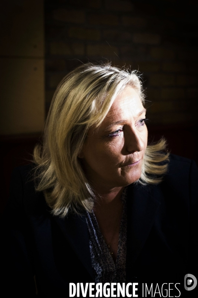 Marine le Pen, candidate aux elections regionales 2015