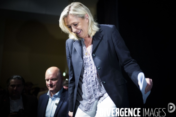 Marine le Pen, candidate aux elections regionales 2015