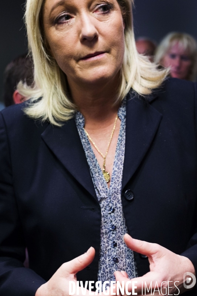 Marine le Pen, candidate aux elections regionales 2015