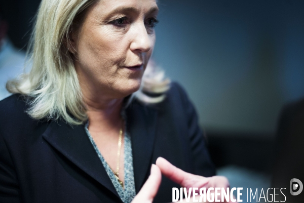 Marine le Pen, candidate aux elections regionales 2015