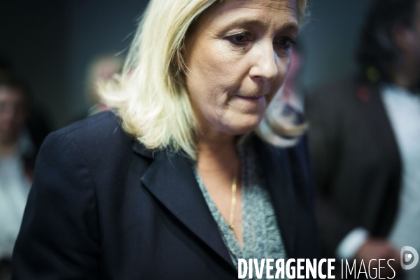 Marine le Pen, candidate aux elections regionales 2015