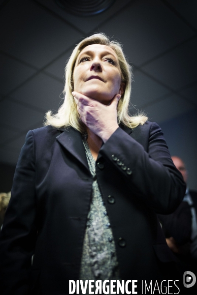 Marine le Pen, candidate aux elections regionales 2015