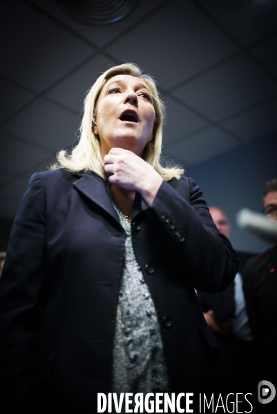 Marine le Pen, candidate aux elections regionales 2015