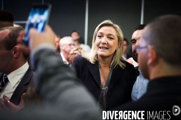 Marine le Pen, candidate aux elections regionales 2015