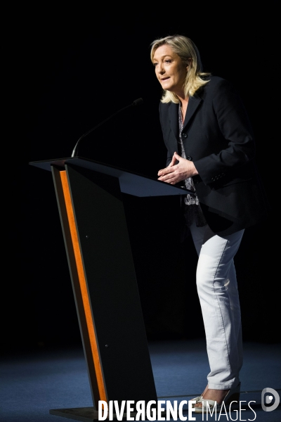 Marine le Pen, candidate aux elections regionales 2015