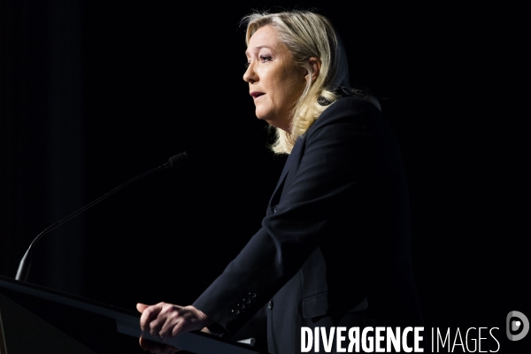 Marine le Pen, candidate aux elections regionales 2015