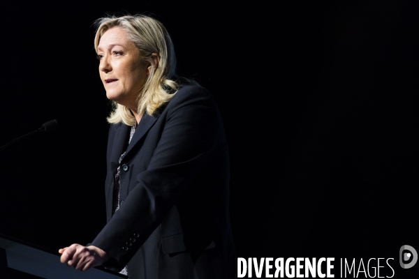 Marine le Pen, candidate aux elections regionales 2015