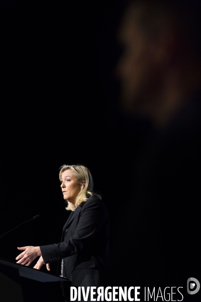 Marine le Pen, candidate aux elections regionales 2015