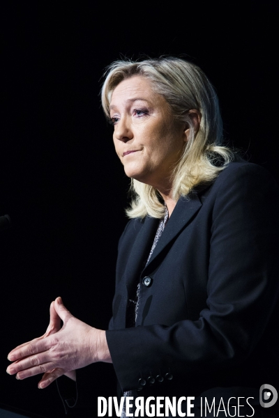 Marine le Pen, candidate aux elections regionales 2015
