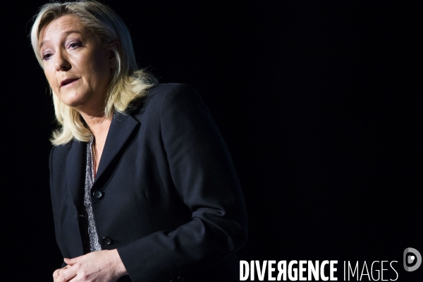 Marine le Pen, candidate aux elections regionales 2015