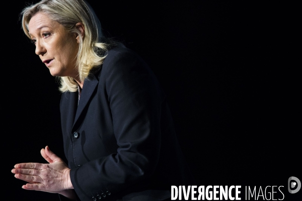 Marine le Pen, candidate aux elections regionales 2015