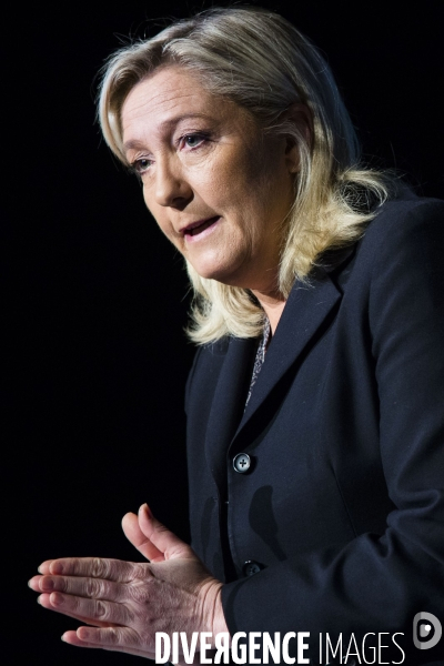 Marine le Pen, candidate aux elections regionales 2015