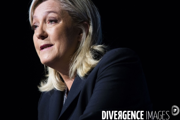 Marine le Pen, candidate aux elections regionales 2015