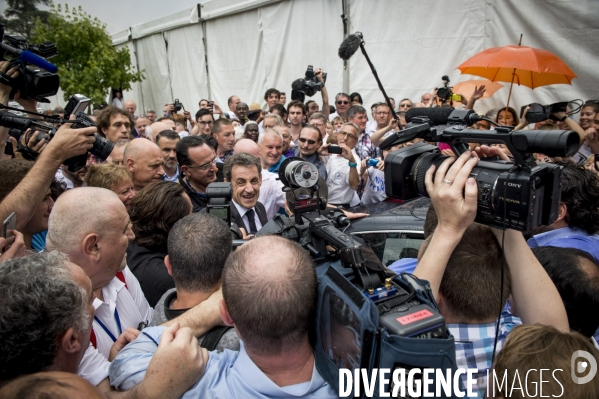 Nicolas Sarkozy à la fête de la Violette