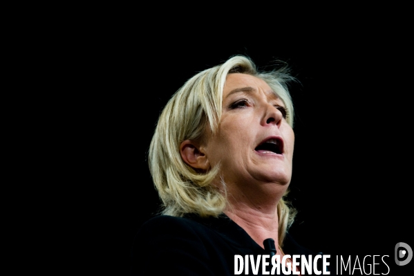 Marine Le Pen annonce son programme pour la presidentielle 2012, Paris, 19/11/2011