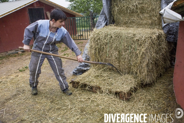 Nouveaux Paysans Bio #1 La Chevriere Fromagere de Mimosa