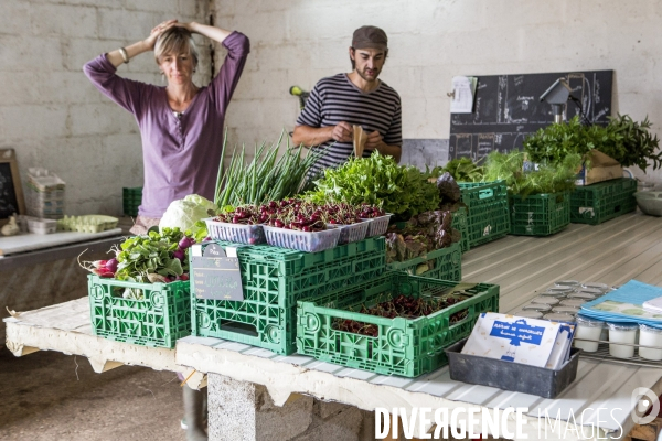 Nouveaux Paysans Bio #2 BioMan & ses Legumes
