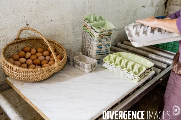 Nouveaux Paysans Bio #2 BioMan & ses Legumes