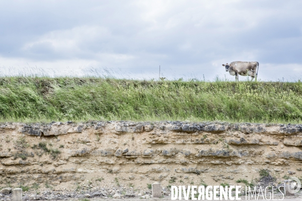 Nouveaux Paysans #3 Le Lait Bio des Vaches sur le Rotaflo