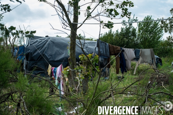 Migrants de Calais